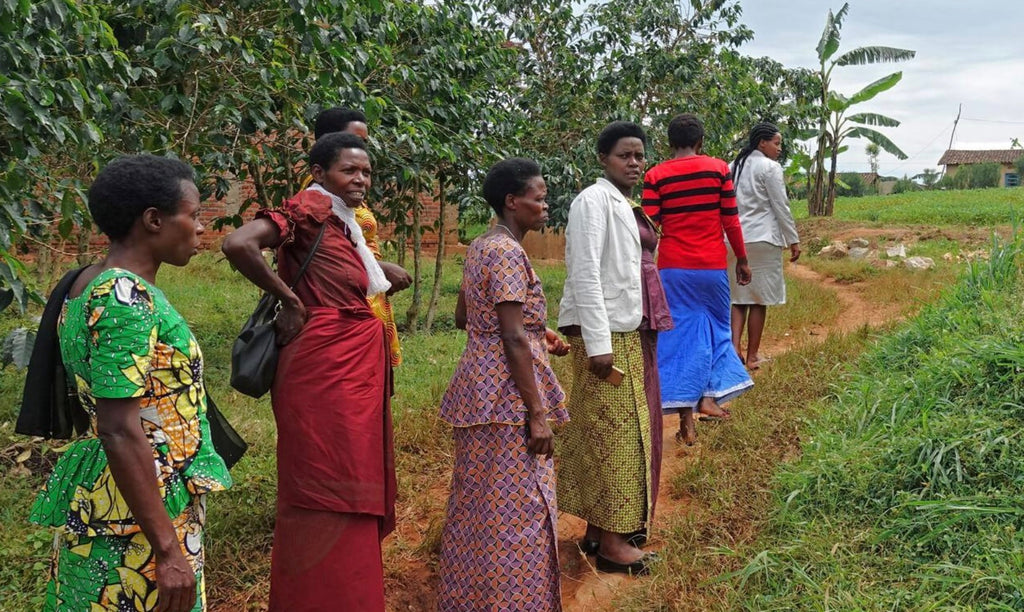 COFFEE ORIGINS: WESTERN PROVINCE, RWANDA