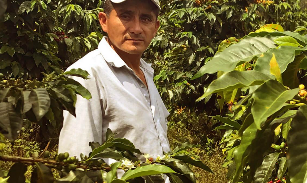 EFRAIN SALVADOR PERU 2017 CUP OF EXCELLENCE