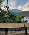 Drying beds at Nelson Moreno's farm