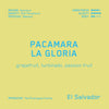 Pacamara La Gloria, El Salvador coffee flavor notes